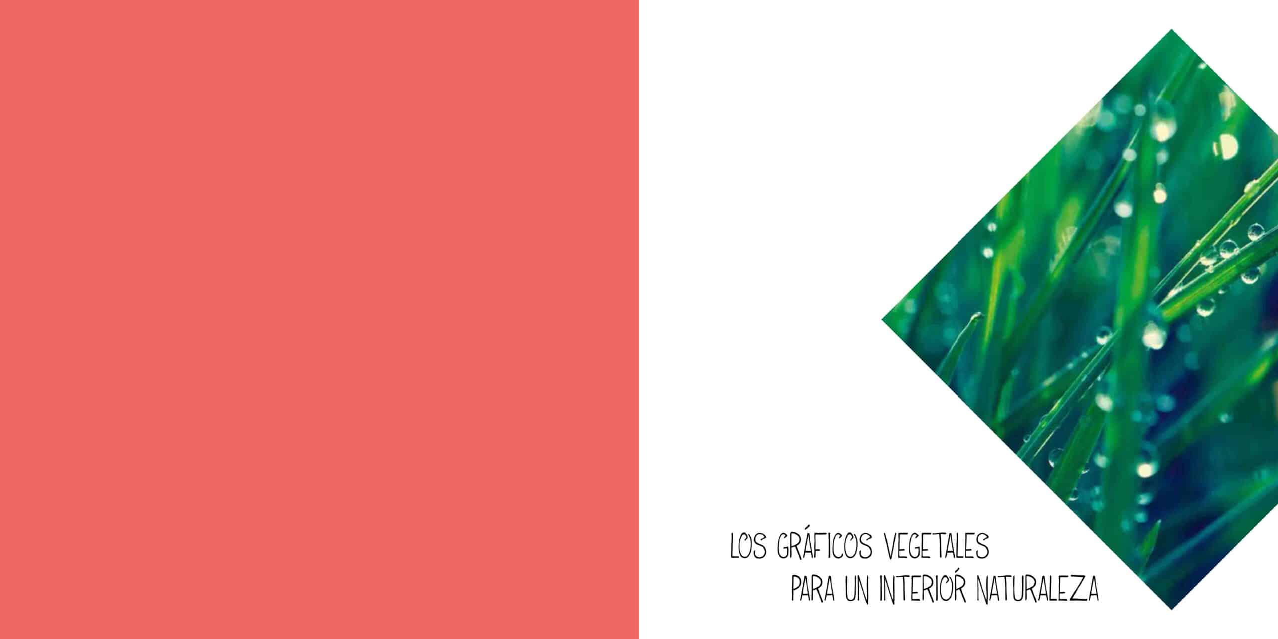 friso vinilo paredes ibiza c5 32